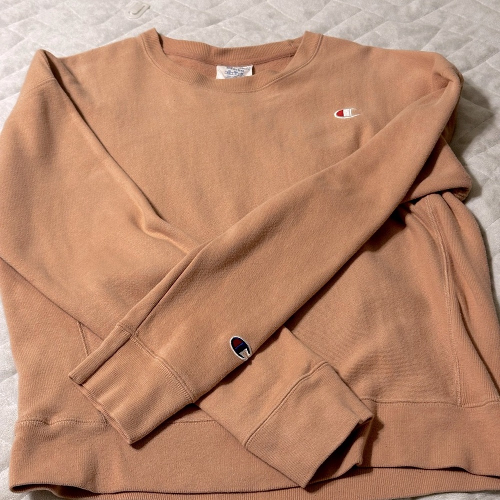 Champion sweater